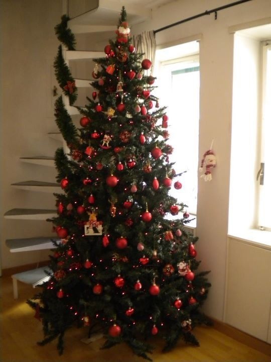 Rino - 22/12/2012
